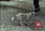Standbild amerikanischen Marines Beirut Libanon, 1983, aus Sekunde 32 historischem Filmmaterial Videoclip 65675050104