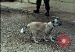 Standbild amerikanischen Marines Beirut Libanon, 1983, aus Sekunde 33 historischem Filmmaterial Videoclip 65675050104