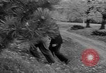 Standbild Drucken drücken Cummington Massachusetts USA, 1945, aus Sekunde 7 historischem Filmmaterial Videoclip 65675050128