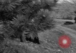 Standbild Drucken drücken Cummington Massachusetts USA, 1945, aus Sekunde 8 historischem Filmmaterial Videoclip 65675050128