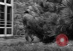 Standbild Drucken drücken Cummington Massachusetts USA, 1945, aus Sekunde 12 historischem Filmmaterial Videoclip 65675050128