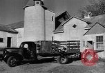 Standbild York Obstgärten Cummington Massachusetts USA, 1945, aus Sekunde 3 historischem Filmmaterial Videoclip 65675050129