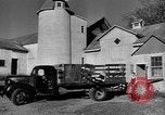Standbild York Obstgärten Cummington Massachusetts USA, 1945, aus Sekunde 4 historischem Filmmaterial Videoclip 65675050129