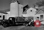 Standbild York Obstgärten Cummington Massachusetts USA, 1945, aus Sekunde 5 historischem Filmmaterial Videoclip 65675050129