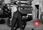 Standbild York Obstgärten Cummington Massachusetts USA, 1945, aus Sekunde 6 historischem Filmmaterial Videoclip 65675050129