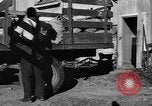Standbild York Obstgärten Cummington Massachusetts USA, 1945, aus Sekunde 8 historischem Filmmaterial Videoclip 65675050129