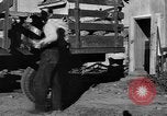 Standbild York Obstgärten Cummington Massachusetts USA, 1945, aus Sekunde 9 historischem Filmmaterial Videoclip 65675050129