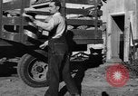 Standbild York Obstgärten Cummington Massachusetts USA, 1945, aus Sekunde 10 historischem Filmmaterial Videoclip 65675050129