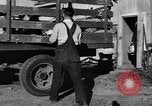 Standbild York Obstgärten Cummington Massachusetts USA, 1945, aus Sekunde 11 historischem Filmmaterial Videoclip 65675050129