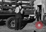 Standbild York Obstgärten Cummington Massachusetts USA, 1945, aus Sekunde 12 historischem Filmmaterial Videoclip 65675050129