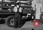Standbild York Obstgärten Cummington Massachusetts USA, 1945, aus Sekunde 13 historischem Filmmaterial Videoclip 65675050129