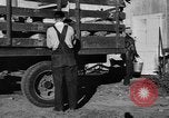 Standbild York Obstgärten Cummington Massachusetts USA, 1945, aus Sekunde 14 historischem Filmmaterial Videoclip 65675050129