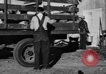 Standbild York Obstgärten Cummington Massachusetts USA, 1945, aus Sekunde 15 historischem Filmmaterial Videoclip 65675050129