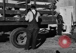 Standbild York Obstgärten Cummington Massachusetts USA, 1945, aus Sekunde 16 historischem Filmmaterial Videoclip 65675050129