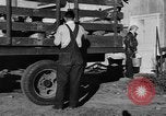 Standbild York Obstgärten Cummington Massachusetts USA, 1945, aus Sekunde 17 historischem Filmmaterial Videoclip 65675050129
