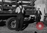 Standbild York Obstgärten Cummington Massachusetts USA, 1945, aus Sekunde 18 historischem Filmmaterial Videoclip 65675050129