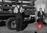 Standbild York Obstgärten Cummington Massachusetts USA, 1945, aus Sekunde 19 historischem Filmmaterial Videoclip 65675050129