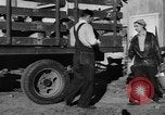 Standbild York Obstgärten Cummington Massachusetts USA, 1945, aus Sekunde 20 historischem Filmmaterial Videoclip 65675050129