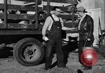 Standbild York Obstgärten Cummington Massachusetts USA, 1945, aus Sekunde 21 historischem Filmmaterial Videoclip 65675050129