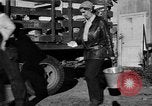 Standbild York Obstgärten Cummington Massachusetts USA, 1945, aus Sekunde 22 historischem Filmmaterial Videoclip 65675050129