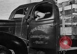 Standbild York Obstgärten Cummington Massachusetts USA, 1945, aus Sekunde 24 historischem Filmmaterial Videoclip 65675050129