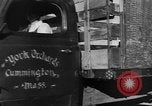 Standbild York Obstgärten Cummington Massachusetts USA, 1945, aus Sekunde 31 historischem Filmmaterial Videoclip 65675050129
