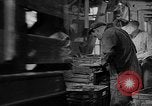 Standbild York Obstgärten Cummington Massachusetts USA, 1945, aus Sekunde 33 historischem Filmmaterial Videoclip 65675050129