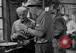 Standbild York Obstgärten Cummington Massachusetts USA, 1945, aus Sekunde 42 historischem Filmmaterial Videoclip 65675050129