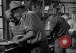 Standbild York Obstgärten Cummington Massachusetts USA, 1945, aus Sekunde 46 historischem Filmmaterial Videoclip 65675050129