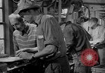 Standbild York Obstgärten Cummington Massachusetts USA, 1945, aus Sekunde 48 historischem Filmmaterial Videoclip 65675050129