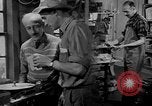 Standbild York Obstgärten Cummington Massachusetts USA, 1945, aus Sekunde 49 historischem Filmmaterial Videoclip 65675050129