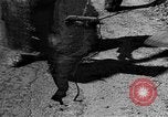 Standbild amerikanischen Stadt einheimischen Cummington Massachusetts USA, 1945, aus Sekunde 15 historischem Filmmaterial Videoclip 65675050130