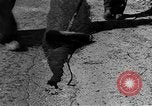 Standbild amerikanischen Stadt einheimischen Cummington Massachusetts USA, 1945, aus Sekunde 16 historischem Filmmaterial Videoclip 65675050130