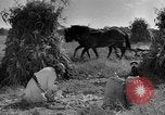 Standbild amerikanischen Stadt einheimischen Cummington Massachusetts USA, 1945, aus Sekunde 26 historischem Filmmaterial Videoclip 65675050130