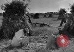 Standbild amerikanischen Stadt einheimischen Cummington Massachusetts USA, 1945, aus Sekunde 28 historischem Filmmaterial Videoclip 65675050130