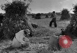 Standbild amerikanischen Stadt einheimischen Cummington Massachusetts USA, 1945, aus Sekunde 29 historischem Filmmaterial Videoclip 65675050130