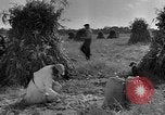 Standbild amerikanischen Stadt einheimischen Cummington Massachusetts USA, 1945, aus Sekunde 30 historischem Filmmaterial Videoclip 65675050130