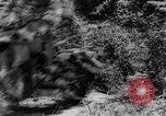 Standbild Motorrad Versand Reiter United States USA, 1942, aus Sekunde 24 historischem Filmmaterial Videoclip 65675050135