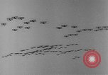 Standbild American air Training Programm New York United States USA, 1942, aus Sekunde 35 historischem Filmmaterial Videoclip 65675050139