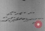 Standbild American air Training Programm New York United States USA, 1942, aus Sekunde 40 historischem Filmmaterial Videoclip 65675050139
