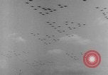 Standbild American air Training Programm New York United States USA, 1942, aus Sekunde 43 historischem Filmmaterial Videoclip 65675050139