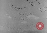 Standbild American air Training Programm New York United States USA, 1942, aus Sekunde 45 historischem Filmmaterial Videoclip 65675050139