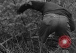 Immagine di Abeti Washington State United States USA, 1938, secondo 10 filmato di repertorio 65675050145