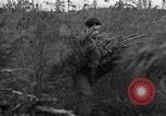 Immagine di Abeti Washington State United States USA, 1938, secondo 13 filmato di repertorio 65675050145