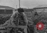 Immagine di Abeti Washington State United States USA, 1938, secondo 29 filmato di repertorio 65675050145