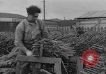 Immagine di Abeti Washington State United States USA, 1938, secondo 30 filmato di repertorio 65675050145