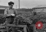 Immagine di Abeti Washington State United States USA, 1938, secondo 31 filmato di repertorio 65675050145