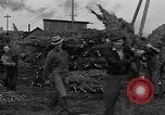 Immagine di Abeti Washington State United States USA, 1938, secondo 32 filmato di repertorio 65675050145