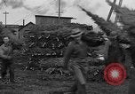 Immagine di Abeti Washington State United States USA, 1938, secondo 33 filmato di repertorio 65675050145
