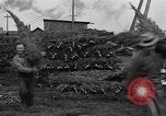 Immagine di Abeti Washington State United States USA, 1938, secondo 34 filmato di repertorio 65675050145